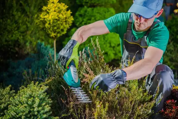 landscaping services Waterloo